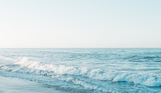 タオル・バスタオル